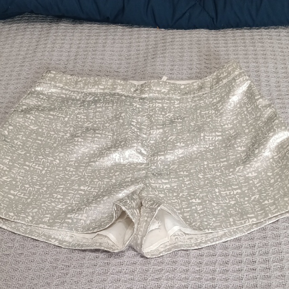 Stylish Silver Women's Shorts